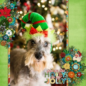 AnnieElf