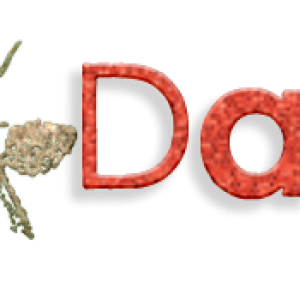 Xmassimple