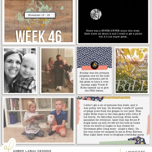2016 week 46 - left side