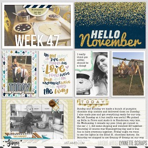 2016 week 47 - left side