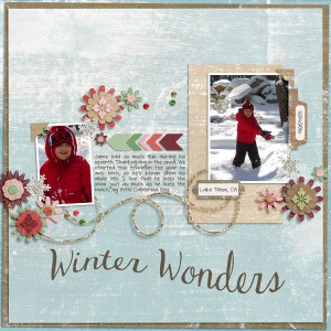 Winter Wonders
