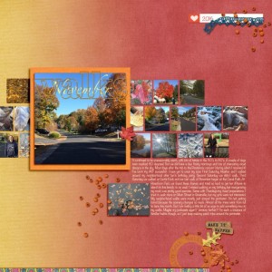 november challenge - november walks