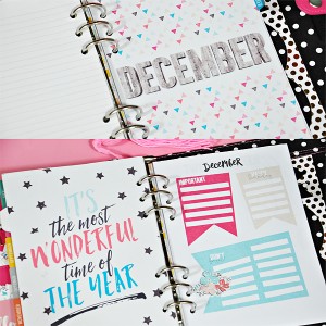 Hybrid Dec planner spreads/pages_dashboard, divider, month review