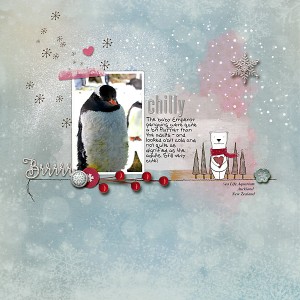 Baby-penguin