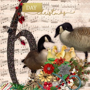 2016-12_December-TLP_AJ-Day06_web