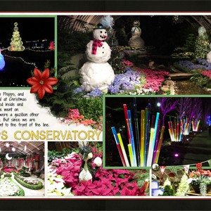 Christmas at Phipps Conservatory