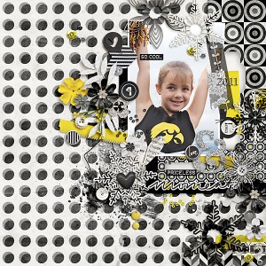2011 Iowa Fan Memories
