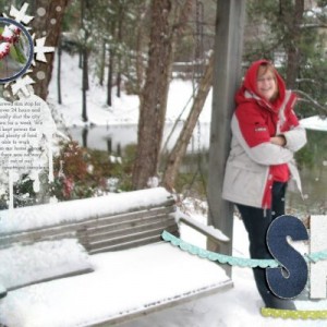 2011 01 09 Snow