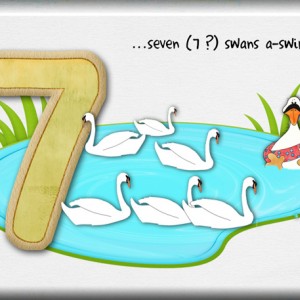 Day-7