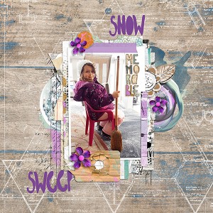 Snow Sweep