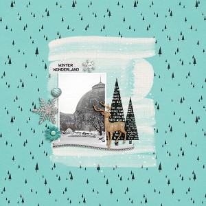 winter wonderland