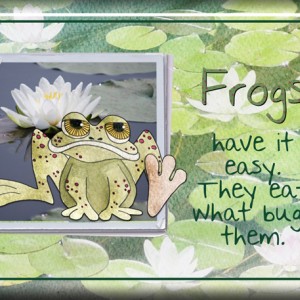 Day 10:  ATC-2016-102-Frogs