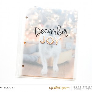 December Joy Overlay