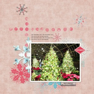 December 2016 Scraplift Challenge - Trees at Phipps Conservatory
