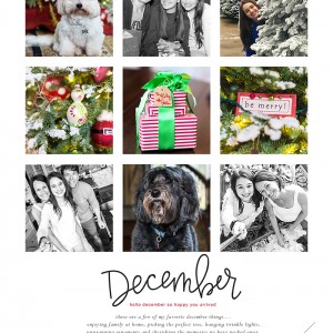 Snapshots of December