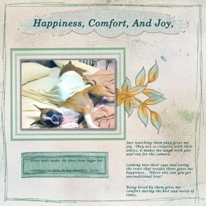 Happiness-comfort-and-joy