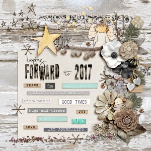 Day 12 - 12 Days Of Christmas ~ Looking Forward to 2017