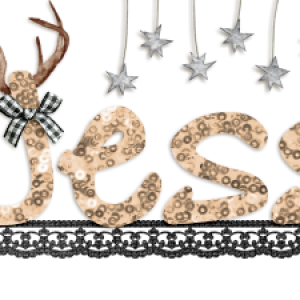 Siggy New Year 2017