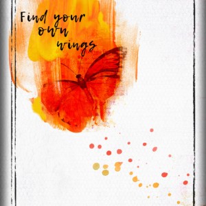 ATC-2016-106-Find-Your-Own-Wings