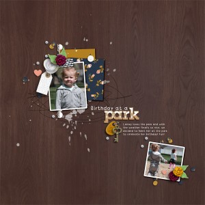 Birthday At The Park