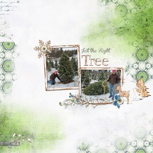 The Right Tree