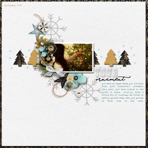 Your Ornament