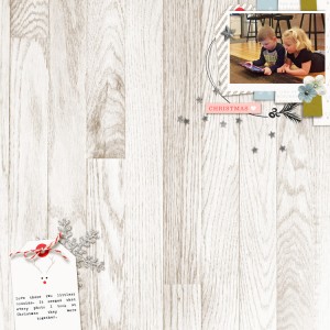 LV-TLP-1201-Scraplift-WEB