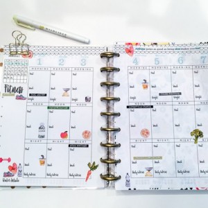 Fitness planner for 2017
