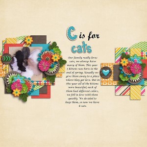 C for cats
