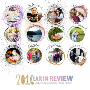 2016 Year In Review