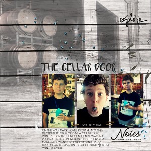 The cellar door