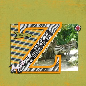 Zebra