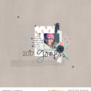 2017 Goals