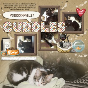 MOC Day 4 - Purrrrrfect cuddles