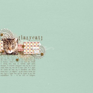 Lazycat!