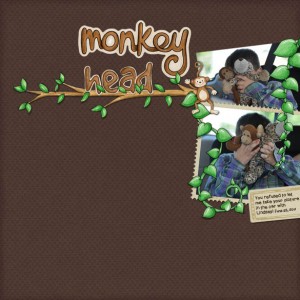 Monkey Head