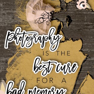Photography ATC (MOC5 #5)