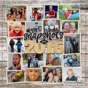 MOC5- 2 - Snapshots Of 2016