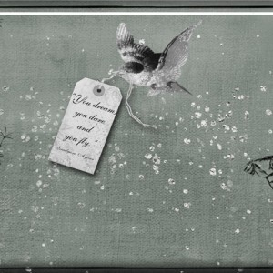 6.-You-Fly