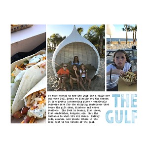 MOC 4 The Gulf