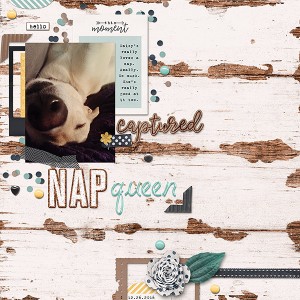Nap-Queen