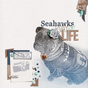 Jan6- Seahawk Way Of Life