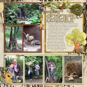 Safari