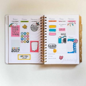 Jan 2017 Planner - Wk 2