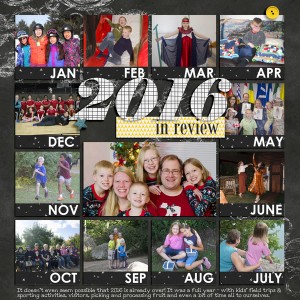 2016 in review