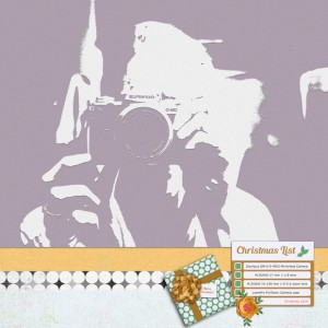 Camera-splurge