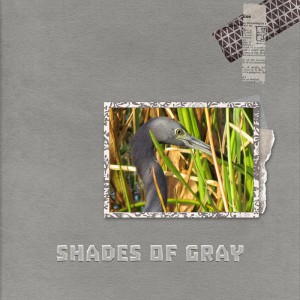 Moc-7-shades-of-gray