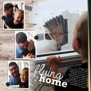 Flying Home