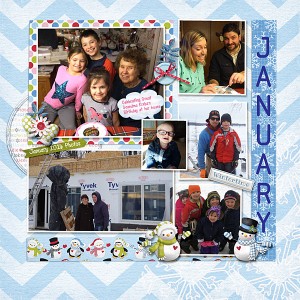 SwL.MIS Jan.2017