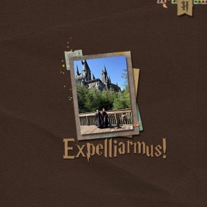 Expelliarmus!